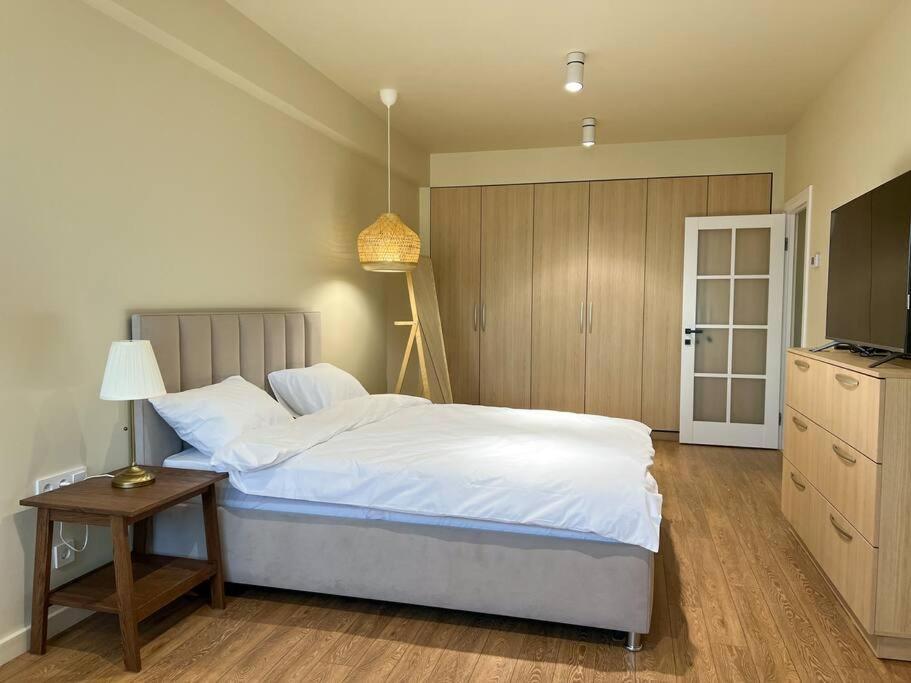 2 Bedroom On Ismail Corner Stefan Cel Mare, New Apartment, Chisinau Center! מראה חיצוני תמונה